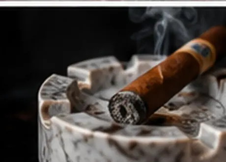 Illustration de l'actualité : Le Comité ouvre une commission chargée de compter les cigares présents